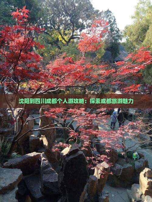 沈阳到四川成都个人游