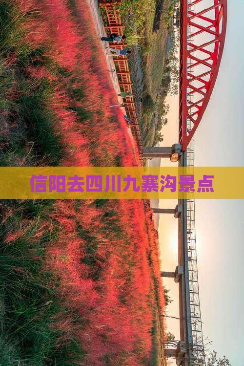 信阳去四川九寨沟景点