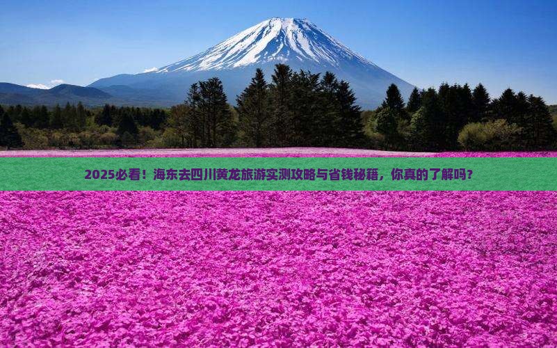 海东去四川黄龙旅游