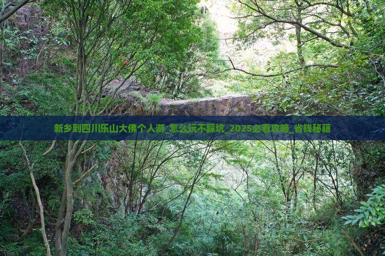新乡到四川乐山大佛个人游