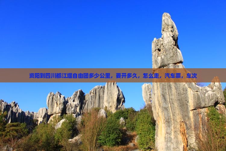 资阳到四川都江堰自由团