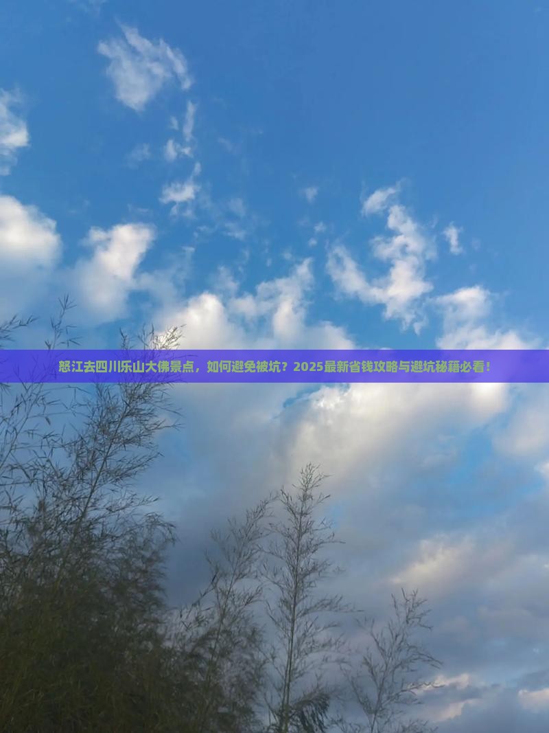 怒江去四川乐山大佛景点 怒江去四川乐山大佛景点