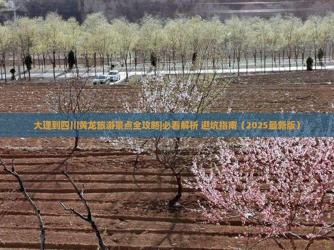 大理去四川黄龙景点