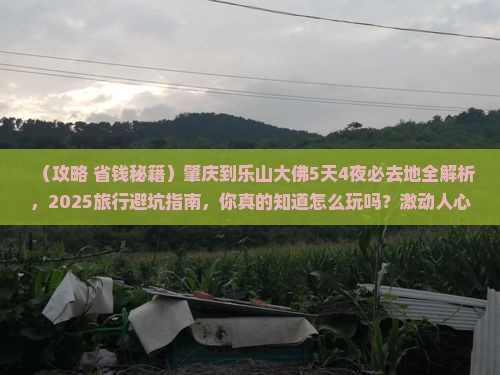 肇庆到四川乐山大佛必去地 肇庆到四川乐山大佛必去地