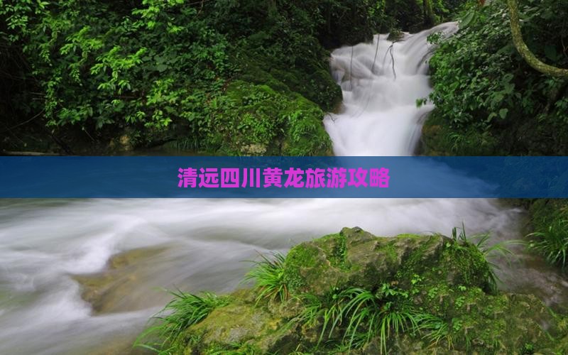 清远去四川黄龙团体旅游