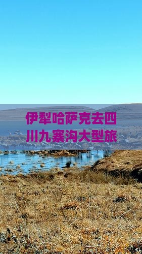 伊犁哈萨克去四川九寨沟大型旅游团