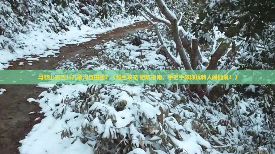 马鞍山到四川九寨沟自由团