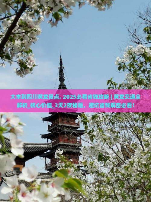 大丰到四川黄龙景点