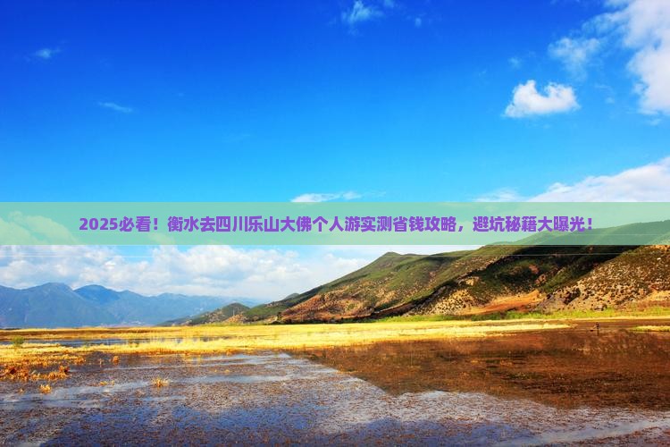衡水去四川乐山大佛个人游