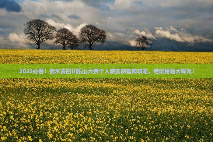 衡水去四川乐山大佛个人游