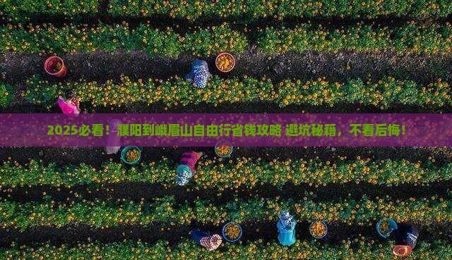 濮阳到四川峨眉山自由团