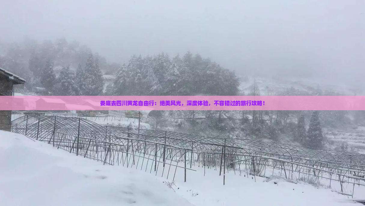娄底去四川黄龙自由行