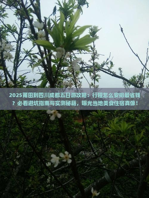 莆田到四川成都五日游