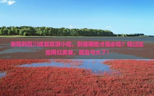 衡阳到四川成都旅游小吃