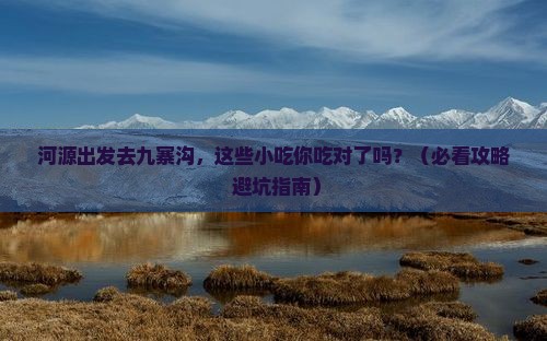 河源到四川九寨沟旅游小吃