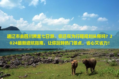 通辽市去四川黄龙七日游