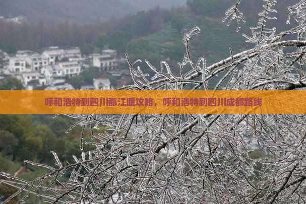 呼和浩特到四川都江堰攻略