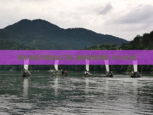 丽水去四川青城山门票