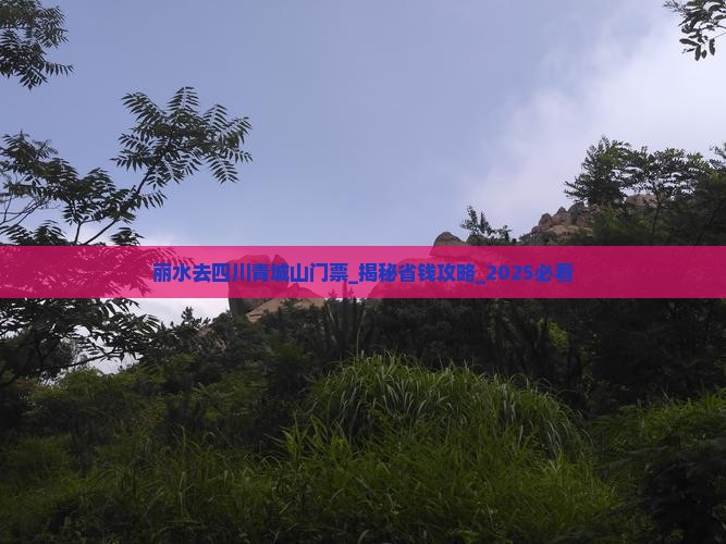丽水去四川青城山门票