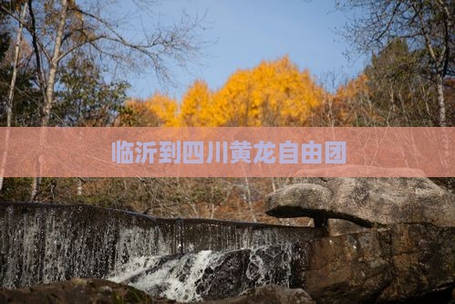 临沂到四川黄龙自由团