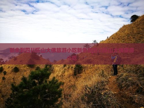 新余到四川乐山大佛旅游小吃