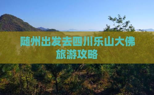 随州去四川乐山大佛景点