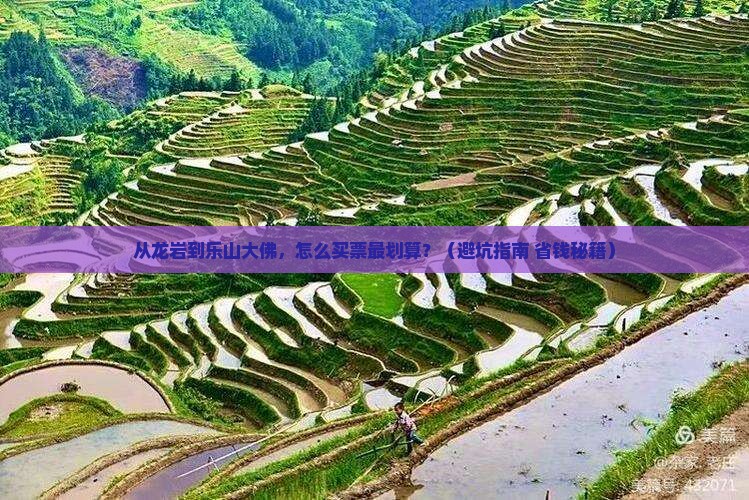龙岩到四川乐山大佛门票