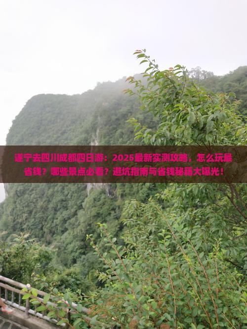 遂宁去四川成都四日游