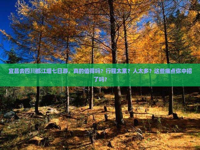 宜昌去四川都江堰七日游