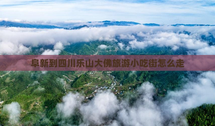 阜新到四川乐山大佛旅游小吃