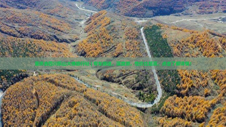 重庆去四川乐山大佛旅行社