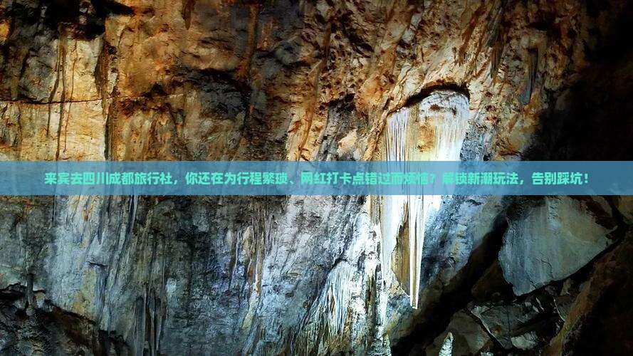来宾去四川成都旅行社