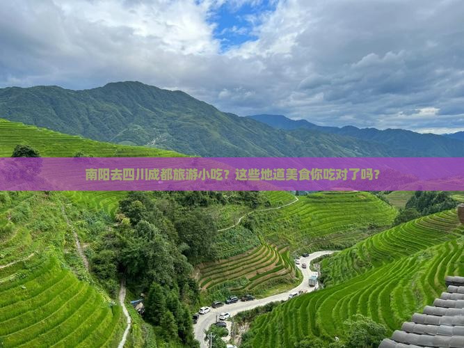 南阳去四川成都旅游小吃