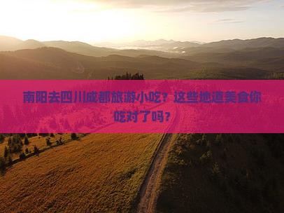 南阳去四川成都旅游小吃