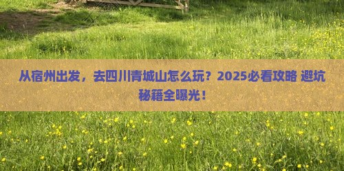 宿州去四川青城山景点