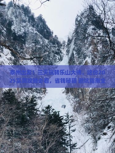 泰州到四川乐山大佛三日游