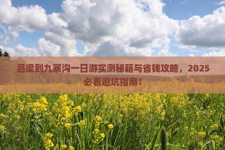 吕梁到四川九寨沟一日