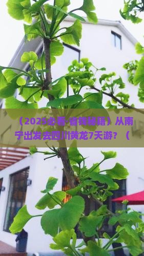 南宁去四川黄龙七日游