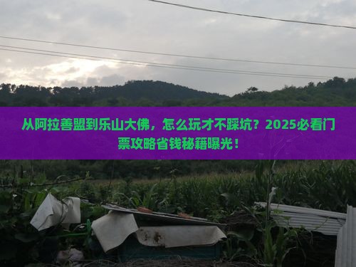 阿拉善盟去四川乐山大佛门票