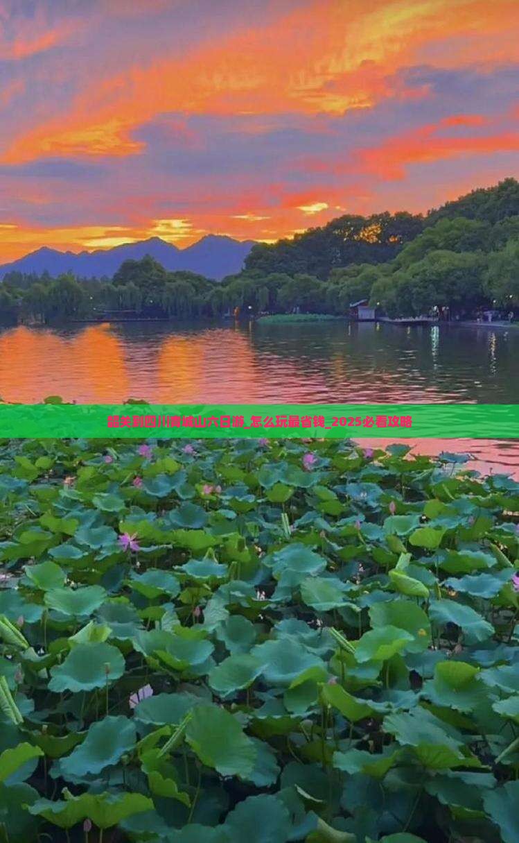 韶关到四川青城山六日游