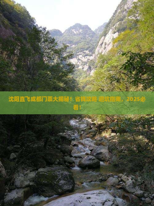 沈阳去四川成都门票
