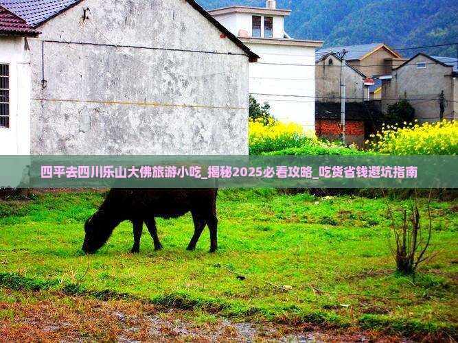 四平去四川乐山大佛旅游小吃