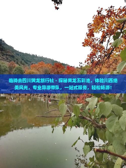 临猗去四川黄龙旅行社