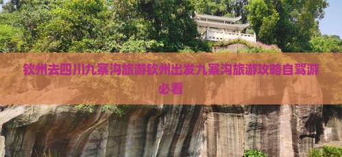钦州去四川九寨沟旅游