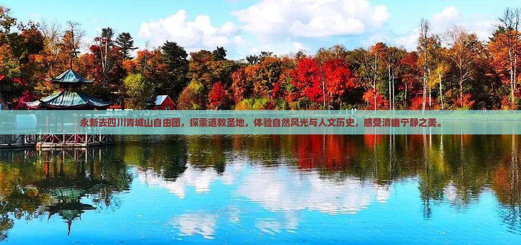 永新去四川青城山自由团
