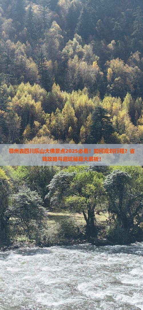 鄂州去四川乐山大佛景点