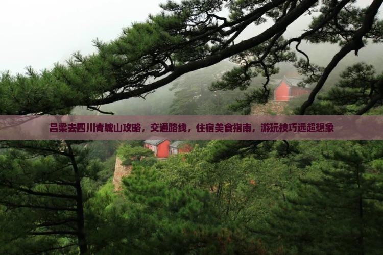 吕梁去四川青城山攻略