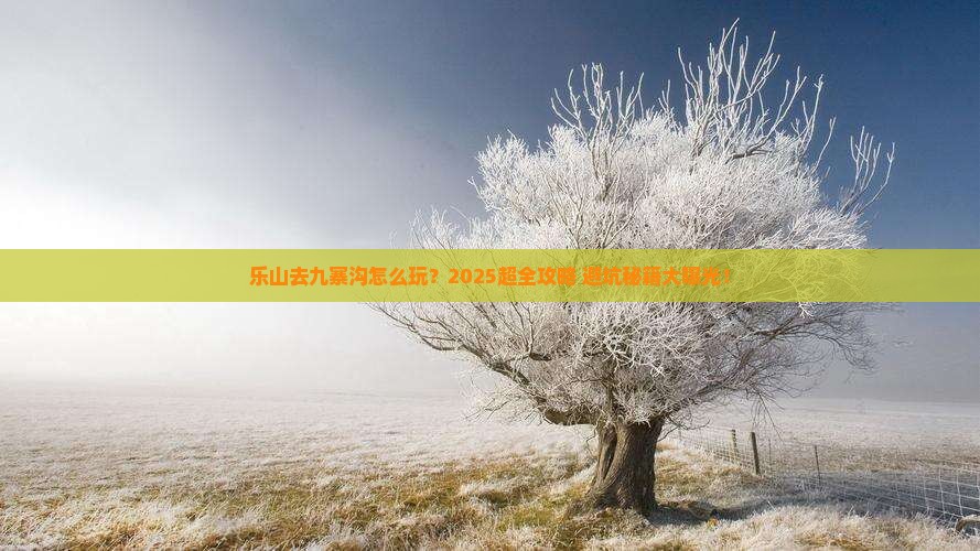 乐山去四川九寨沟攻略
