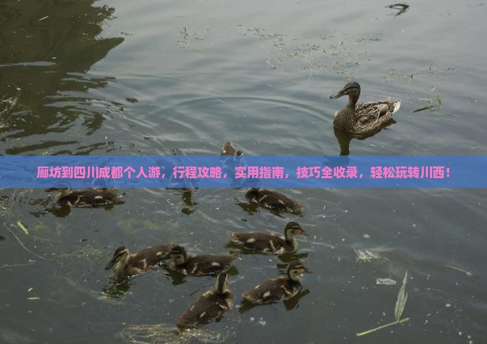 廊坊到四川成都个人游