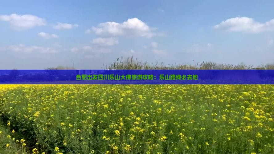 合肥去四川乐山大佛必去地